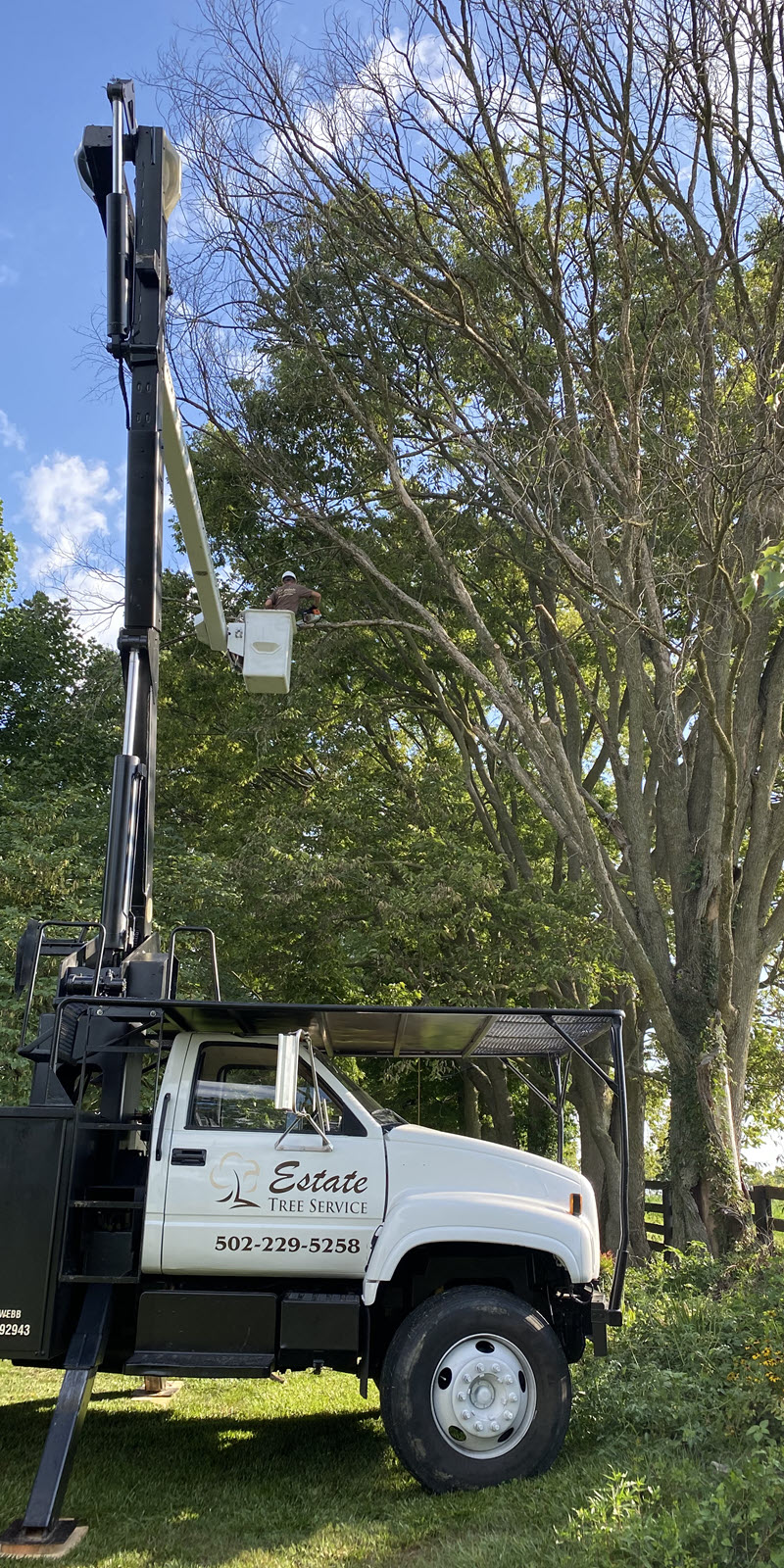 bucket truck